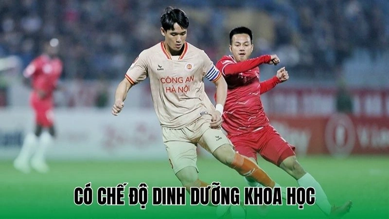 Bí Quyết Tăng Sức Mạnh Chân - Cải Thiện Hiệu Suất Thể Thao 4 Có chế độ dinh dưỡng khoa học