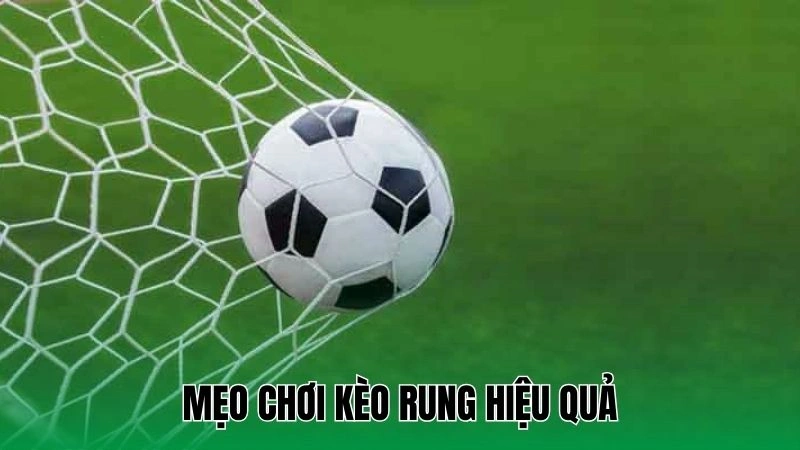 Cách Chơi Kèo Rung - Nắm Bắt Thời Cơ, Kiếm Tiền Nhanh 4 Mẹo chơi kèo rung hiệu quả