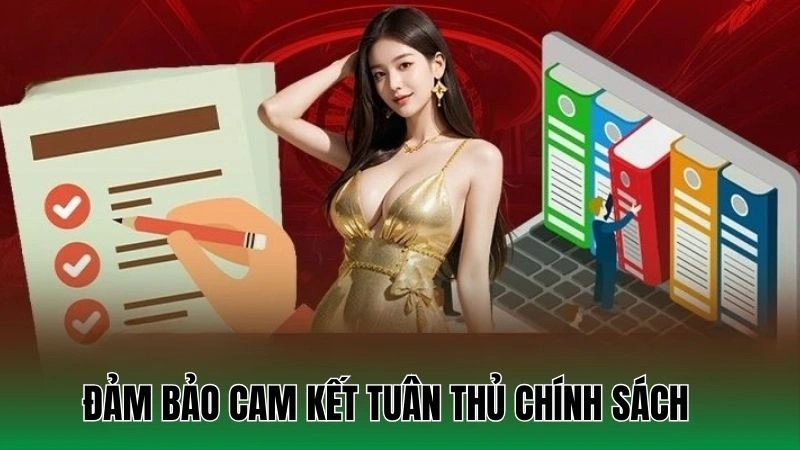 Điều Khoản Sử Dụng Tại Nowgoal Cùng Thông Tin Đặc Biệt 3 Cam kết tuân thủ điều khoản