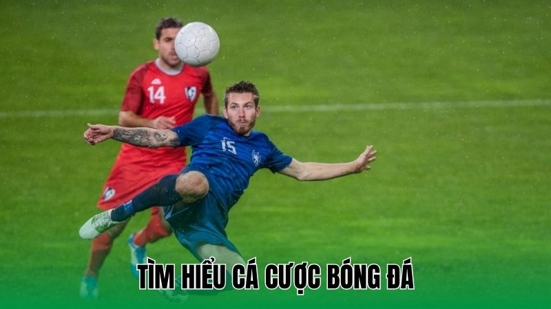 Cá Cược Bóng Đá - Hướng Dẫn Toàn Diện Cho Tân Binh 2 Tìm hiểu cá cược bóng đá