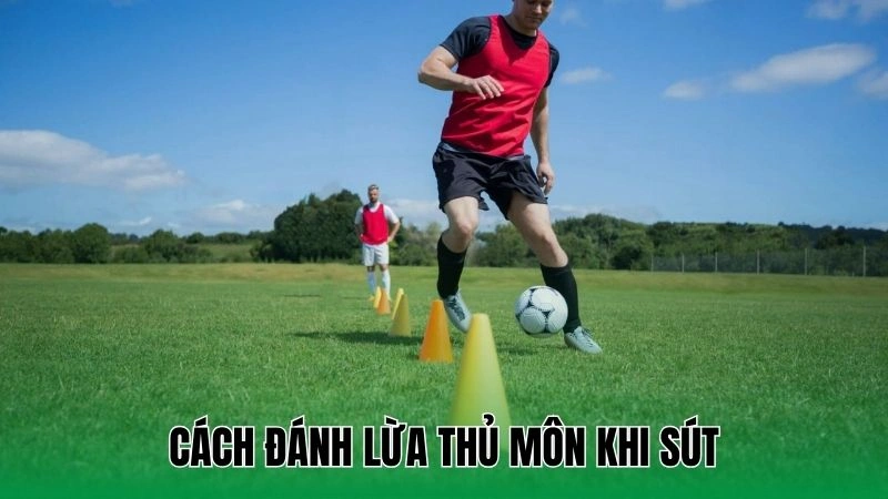 Hướng Dẫn Sút Penalty Thành Công Giúp Nâng Cao Tỷ Lệ Ghi Bàn 4 Cách đánh lừa thủ môn khi sút